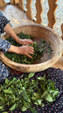 چایی لاک چوب گردو