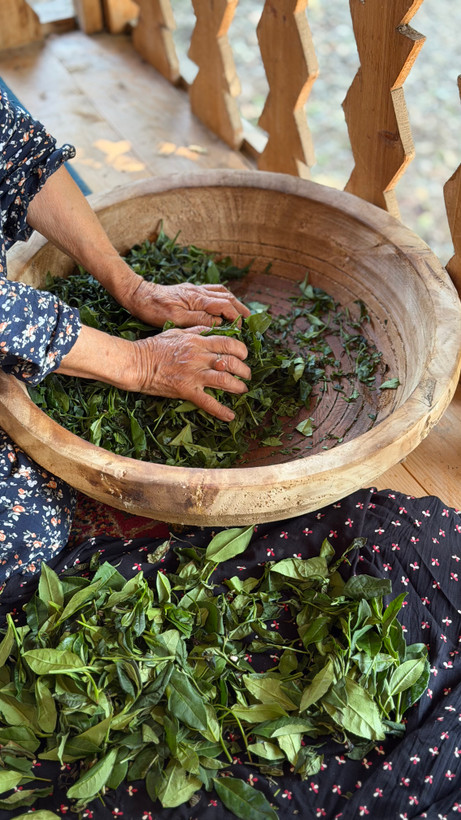 چایی لاک چوب گردو
