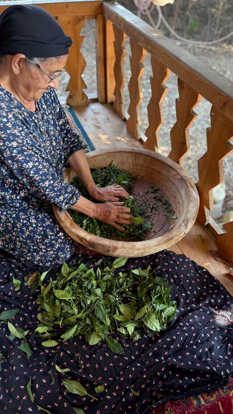 چایی لاک چوب گردو